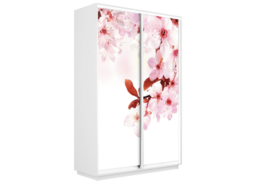 Шкаф-купе Экспресс 2-х дверный (Фото №1023 Сакура)