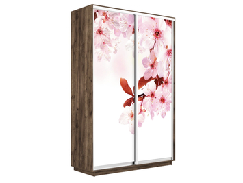 Шкаф-купе Экспресс Люкс 2-х дверный (Фото №1023 Сакура)